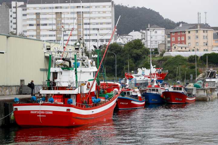 La patronal pesquera europea ve con buenos ojos el Pacto Europeo de los Océanos