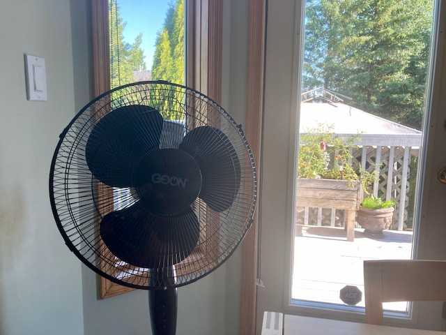 Alberta wildfires causing poor air quality in Central Alberta