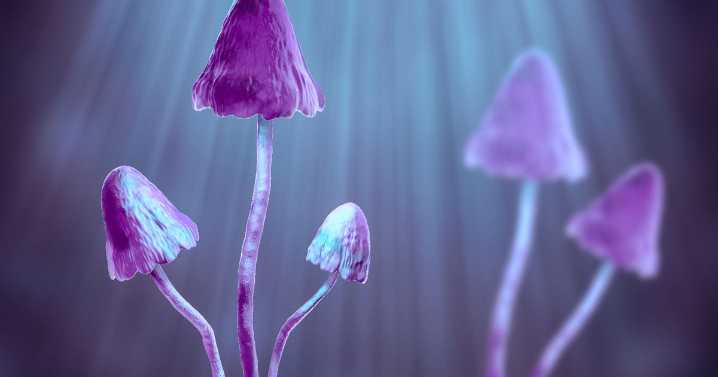 Psychedelic breakthrough exposes the secret behind LSD hallucinogenic properties