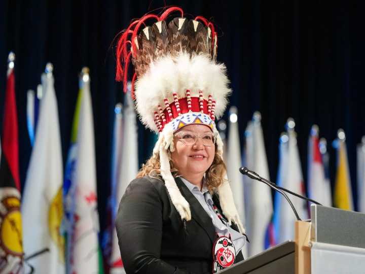 Fast-tracking projects 'serious threat' to treaty rights: AFN Chief