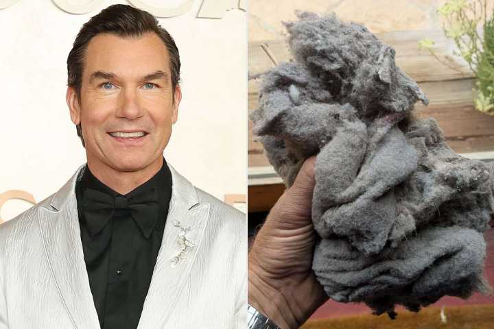 Jerry O'Connell Shows Massive Wad of Lint Extracted from His Dryer