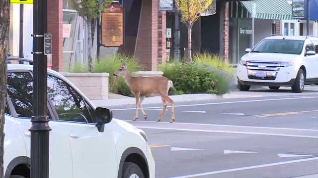 Watch: Videos you may have missed this week
