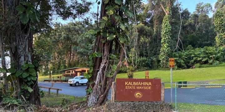 DLNR to temporarily close Maui’s Kaumahina Wayside park for tree removal