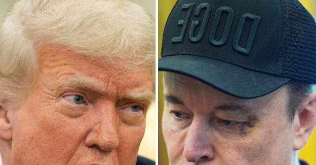 Trump Floats Canceling Elon Musk's Government Subsidies and Contracts