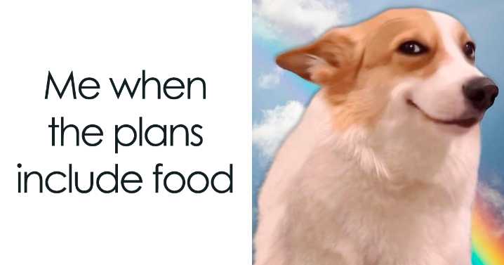 75 Hilarious Memes To Help You Decompress When Life Gets A Little Bit Too Much