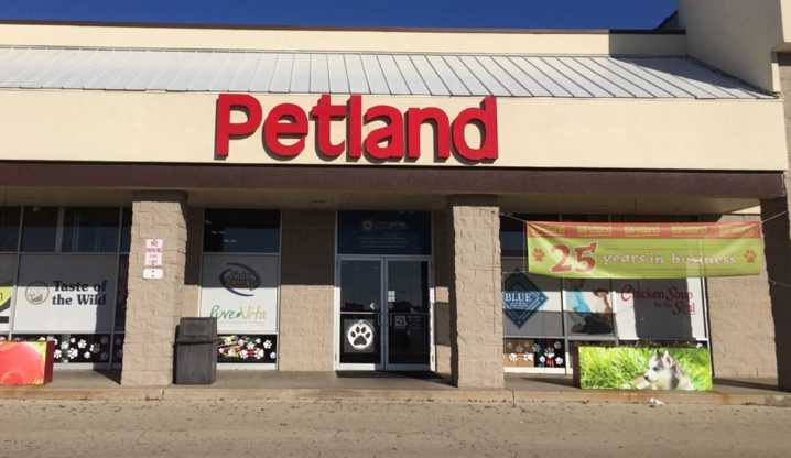 Dogs, cats and strip clubs? Manatee adopts ban on new pet stores, stricter breeder rules
