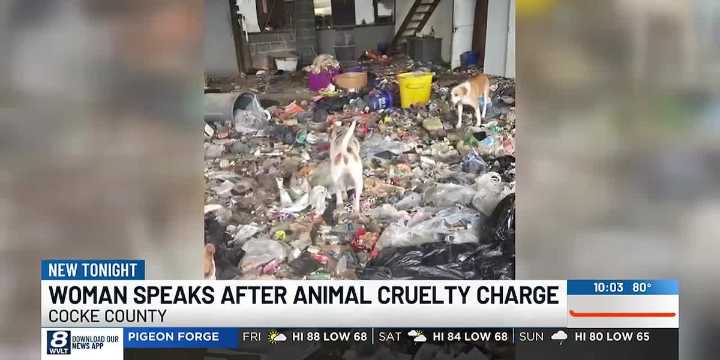 ‘I am not an animal abuser’ | Newport woman charged with animal cruelty speaks out