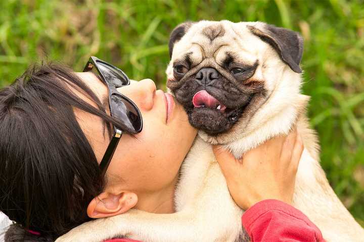 11 Adoring Dog Breeds With Eyes Only for You