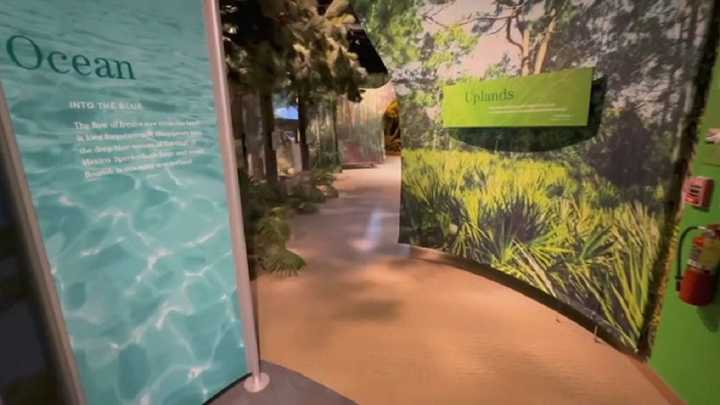 When humans and nature collide, Florida happens