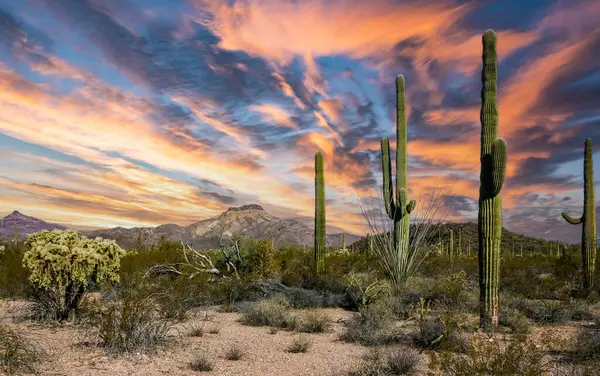 Discovering Arizona