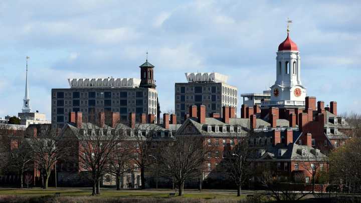 Jueza frenó proclamación de Trump para suspender nuevos visados a estudiantes internacionales en Harvard