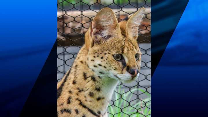 Roger Williams Park Zoo welcomes 14