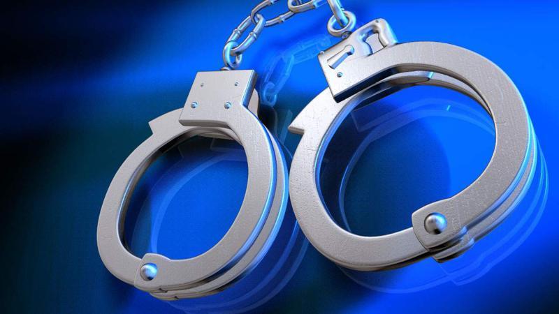 Illinois woman charged in Linn County with theft from dependent adults