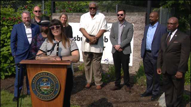 Allegheny County to create federal disruption response team