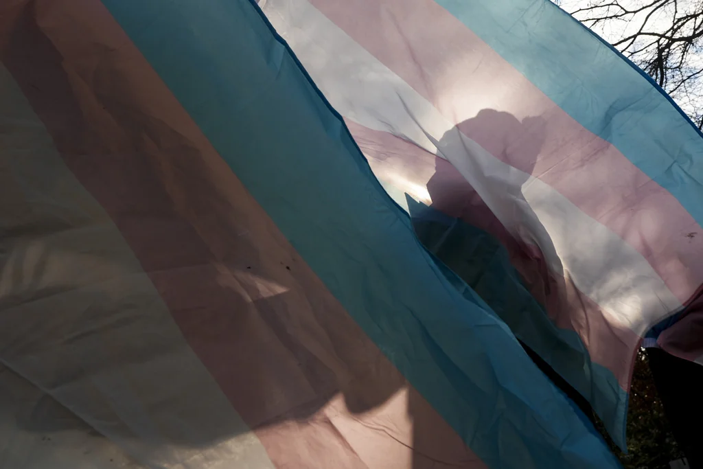 Controversial suppressed paper on trans youth procedures is published