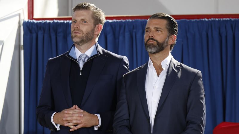 Trump’s sons deny involvement in ‘official’ Trump memecoin wallet
