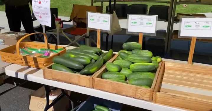 Montana farmers' market program for WIC recipients goes digital