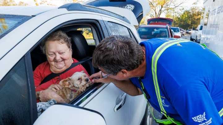 Palm Beach County urges pet owners to prepare for hurricane season