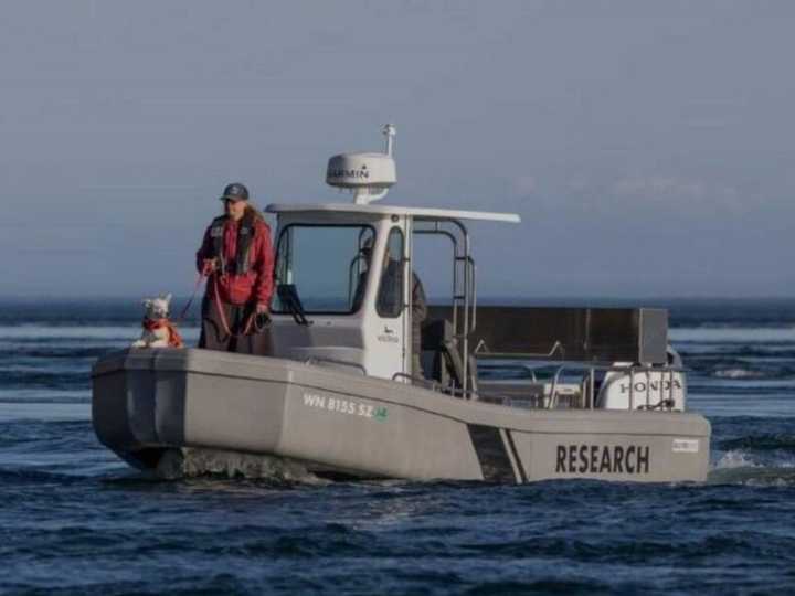 Meet Eba, B.C.'s whale