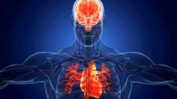 The Head and the Heart: Managing a ‘Silent Epidemic’