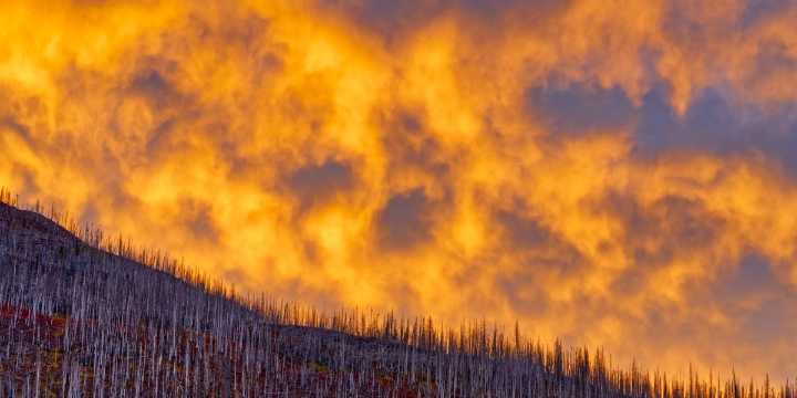 Climate change and nature loss merit radical prioritization amid a sprawling sustainability agenda, say former CEOs
