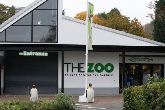 Financial woes, animal welfare concerns and accessibility – what does the future hold for Belfast Zoo?