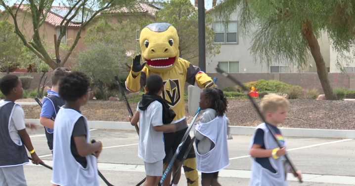 Golden Knights growing the game with annual summer youth ball hockey clinics