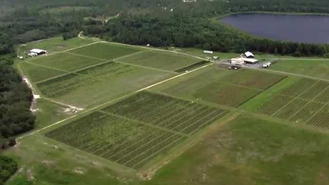 Developers unveil plans for large mixed-use project on Tavares farm