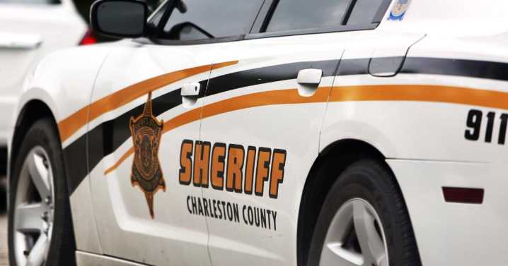 Pedestrian hit, killed by Amtrak train in Ravenel, CCSO says
