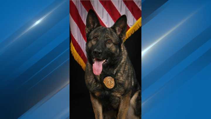 Man pleads no contest in shooting of Delano police K