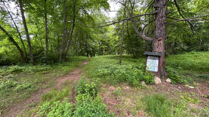 Hikers get outside to enjoy ‘Trails Day’ across Connecticut, with more hikes still to go