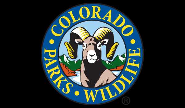 Sixth Wolf In Colorado Confirmed Dead This Year 