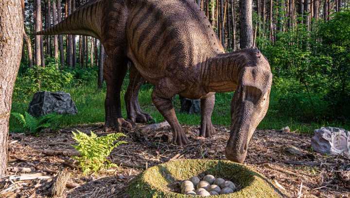 This Is Why We Can't Sex Dinosaurs