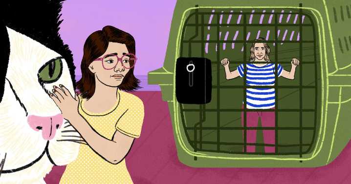 L.A. Affairs: For years, I juggled co-parenting, dating and taking care of a family cat I didn’t like
