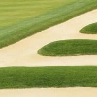 Difficult Oakmont awaits No.1 Scheffler in US Open