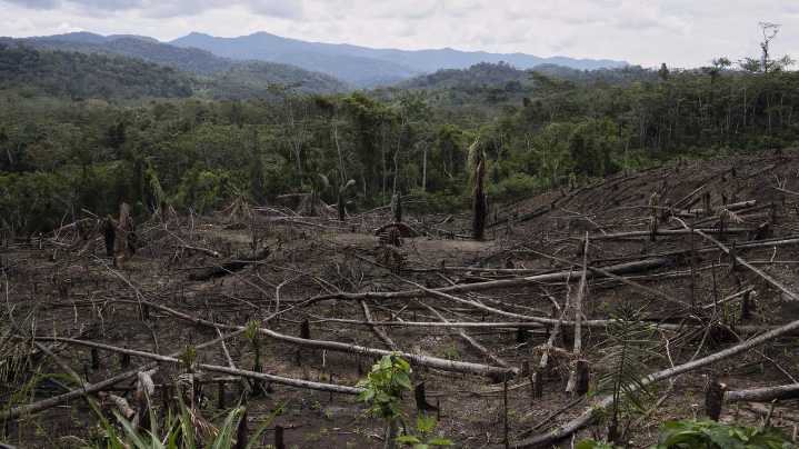 Cuts to USAID severed longstanding American support for Indigenous people around the world