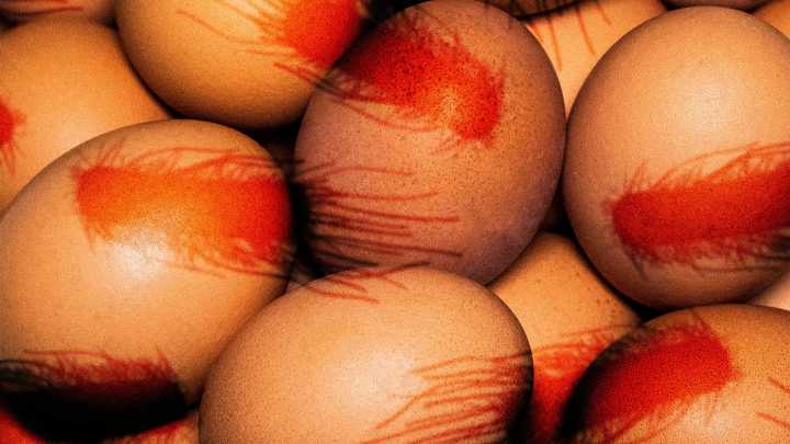 Salmonella outbreak: Recalled eggs sold at Walmart, Safeway, and elsewhere sicken people in 7 states