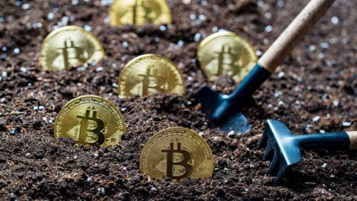 Bitcoin cae tras disputa Trump-Musk y liquidaciones por 980 millones sacuden el mercado