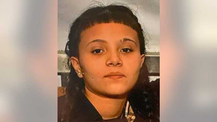 Girl, 14, reported missing from Chicago