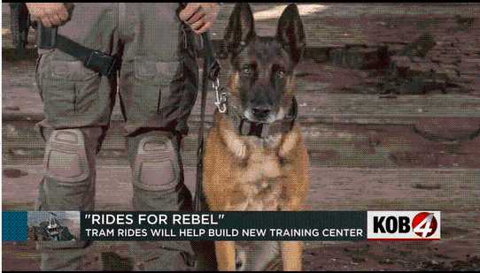 RIDES FOR REBEL
