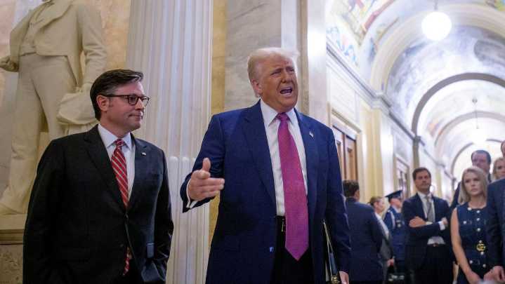Mike Johnson downplays Musk's influence, says GOP will pass Trump's tax and budget bill