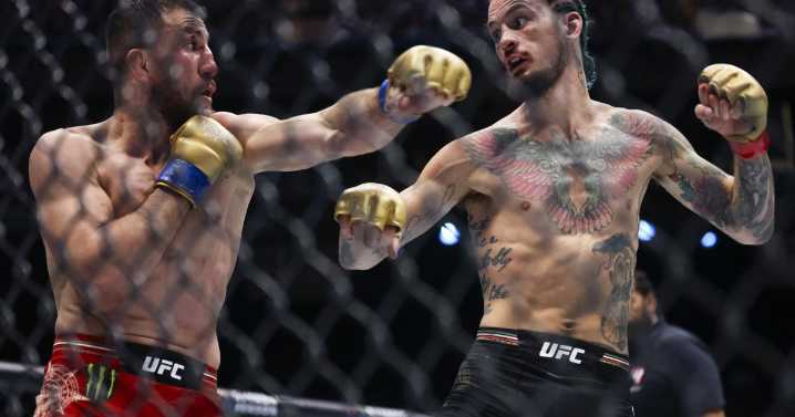 UFC title contender Sean O'Malley quit weed, social media and hair dye. Can it make him a champion?