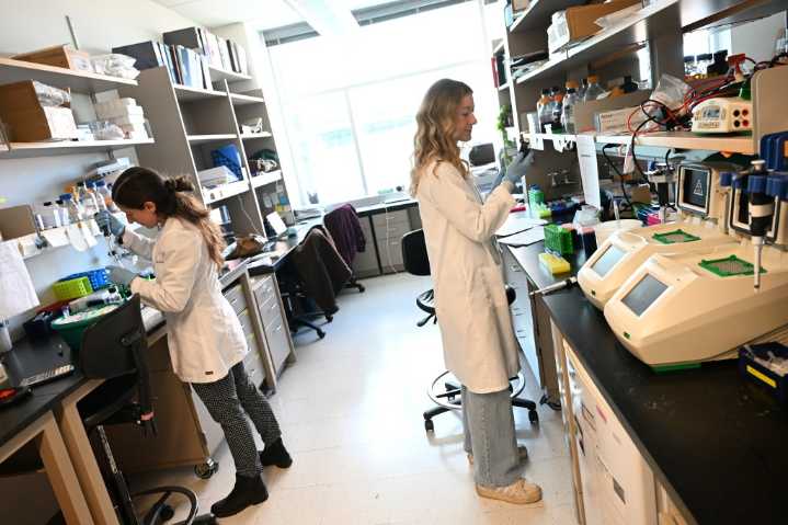 My NIH diversity grant was stripped away overnight (Opinion)