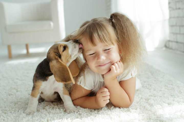 Having a dog in early childhood can make some kids healthier