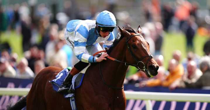 Horse-by-horse guide to 2025 Derby at Epsom