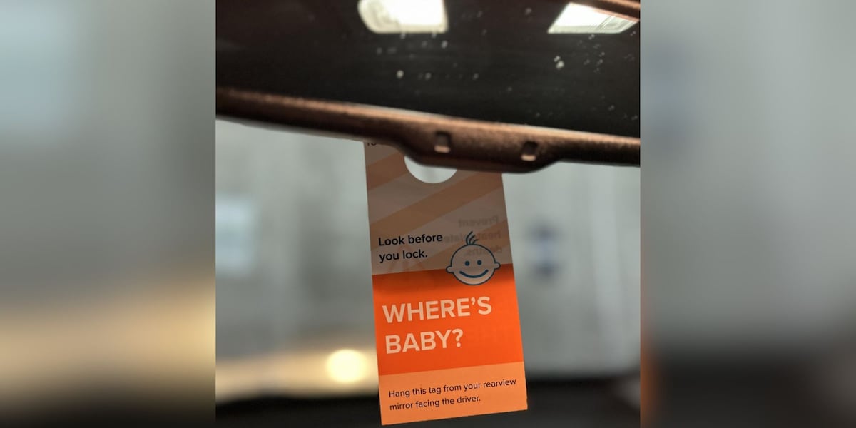 Franklin police combatting child hot car deaths with new mirror tags