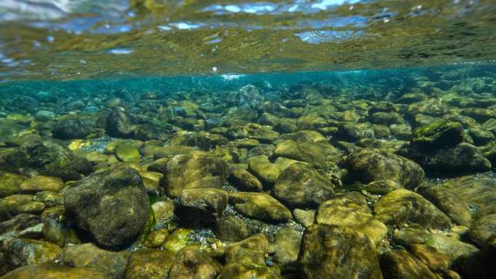 California's Yurok Tribe gets back ancestral lands that were taken over 120 years ago