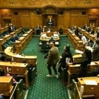 New Zealand parliament gives record bans to Maori MPs over haka