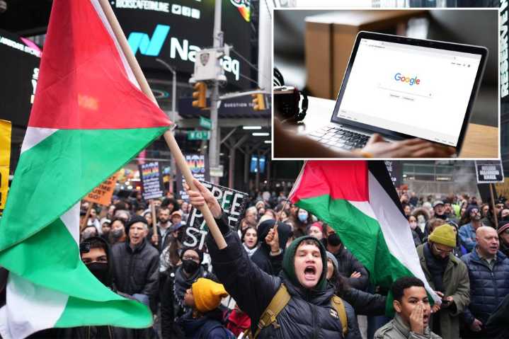 NY searched 'Free Palestine' online more than any other state: study