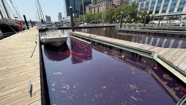 2,000-gallon diesel spill stains part of Baltimore waterfront